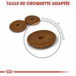 Image de FCN Digestive Care 4kg