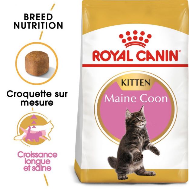 Image de FBN Maine Coon Kitten 400g