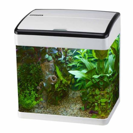 Agrandir l'image de SUPERFISH PANORAMA 50 BLANC Image de SUPERFISH PANORAMA 50 BLANC