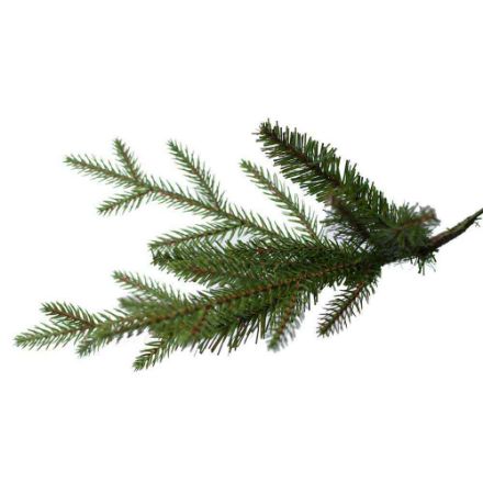 Agrandir l'image de Sapin Arkansas Dark Green 152cm Image de Sapin Arkansas Dark Green 152cm