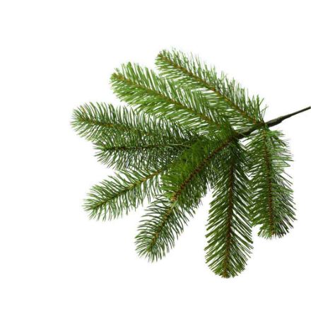 Agrandir l'image de Sapin Poly Bayberry Spruce à charn 183cm Image de Sapin Poly Bayberry Spruce à charn 183cm