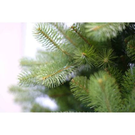 Agrandir l'image de Sapin artificiel Bayberry Spruce h243cm Image de Sapin artificiel Bayberry Spruce h243cm