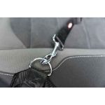 Image de Ceinture de sécurité pour harnais voiture