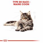 Image de FBN Maine Coon 400g