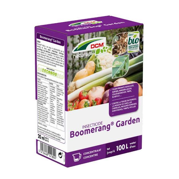 Image de DCM BOOMERANG GARDEN POTAGER 20ML