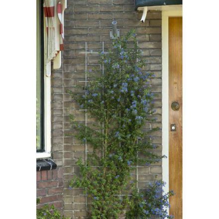 Agrandir l'image de TREILLIS RECT GALVA - H150 X 45CM Image de TREILLIS RECT GALVA - H150 X 45CM