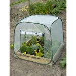 Image de SERRE DE JARDIN POUR CARRÉ POTAGER