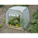 Image de SERRE DE JARDIN POUR CARRÉ POTAGER