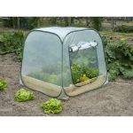Image de SERRE DE JARDIN POUR CARRÉ POTAGER