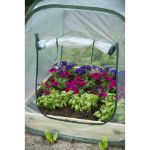 Image de SERRE DE JARDIN POUR CARRÉ POTAGER