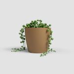 Image de POT SAN REMO MATE 8CM MOUTARDE