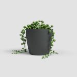 Image de POT SAN REMO MATE 8CM ANTHRACITE