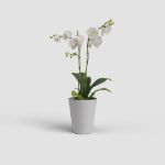 Image de POT PORTO ORCHIDÉE 12,5CM GRIS CLAIR