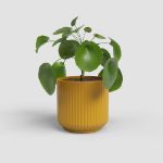 Image de CACHE-POT LUNA 15CM JAUNE