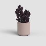 Image de CACHE-POT JUNO 14CM ROSE CLAIR