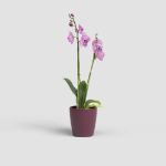 Image de CACHE-POT THALIA ORCHIDÉE 14 MA BORDEAUX