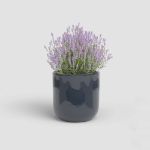 Image de CACHE-POT JUPITER 25 EM BLEU NUIT