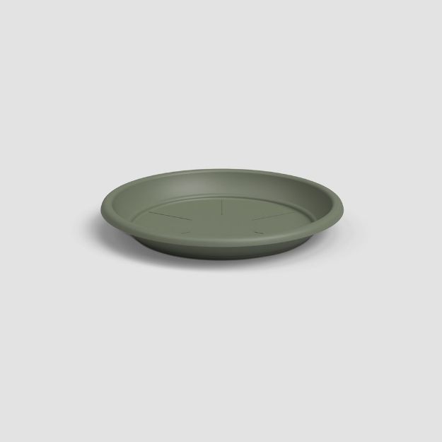 Image de SOUCOUPE RONDE 26CM VERT CENDRÉ