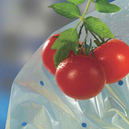 Agrandir l'image de TOMATOTUBE-Housse tomates LDPE 50 microns- 0,60x10m Image de TOMATOTUBE-Housse tomates LDPE 50 microns- 0,60x10m