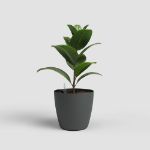 Image de POT SAN REMO MATE 36CM AUTO-ARROSAGE ANTHRACITE
