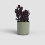 Image de CACHE-POT JUNO 21CM VERT