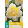 Image de 5 bulbes narcisses westward 12/14