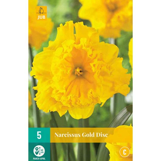 Image de bulbes à fleurs 5 narcissus gold disc
