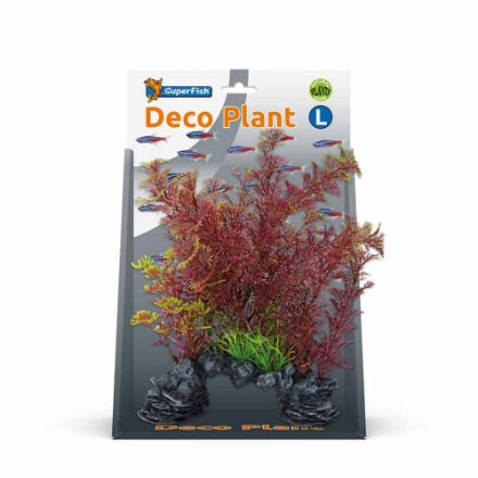 Agrandir l'image de SUPERFISH DECO PLANT L CABOMBA ROUGE Image de SUPERFISH DECO PLANT L CABOMBA ROUGE
