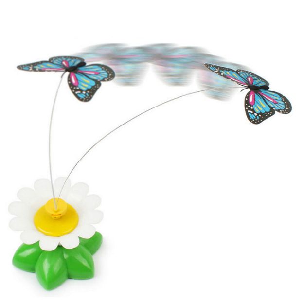 Image de jouet butterfly ANKA