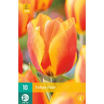 Agrandir l'image de 10 tulipes flair calibre : 11/12 Image de 10 tulipes flair calibre : 11/12