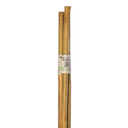 Agrandir l'image de TUTEUR BAMBOU NAT - H180 CM - 3 X Image de TUTEUR BAMBOU NAT - H180 CM - 3 X
