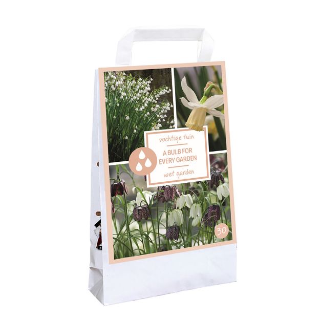 Image de 1 TAS 30 BULBS FOR EVERY GARDEN - WET GARDEN I