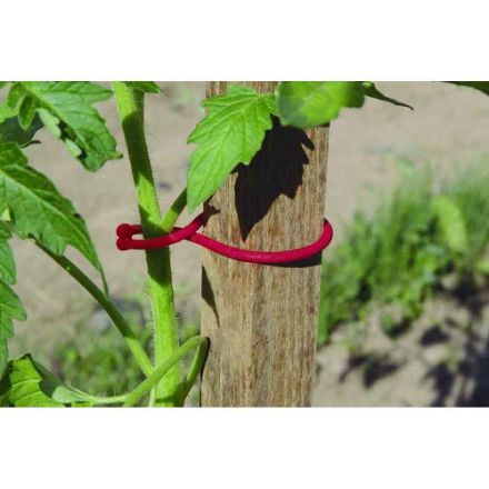 Agrandir l'image de TOMATOCLIPS 25 clips spécial tomates Image de TOMATOCLIPS 25 clips spécial tomates