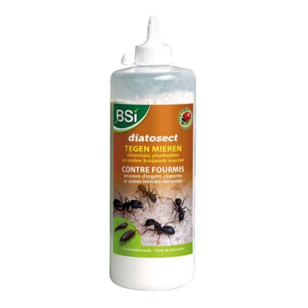 Agrandir l'image de BSI DIATOSECT INSECTES RAMPANTS 200 G Image de BSI DIATOSECT INSECTES RAMPANTS 200 G