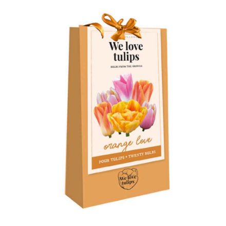 Agrandir l'image de 1 sac cadeau 20 tulipes 'we love tulips' orange love calibre : 11/12 Image de 1 sac cadeau 20 tulipes 'we love tulips' orange love calibre : 11/12