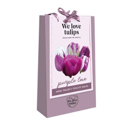Agrandir l'image de 1 sac cadeau 20 tulipes 'we love tulips' purple love calibre : 11/12 Image de 1 sac cadeau 20 tulipes 'we love tulips' purple love calibre : 11/12