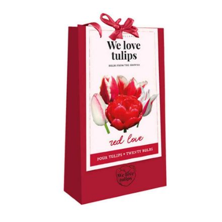 Agrandir l'image de 1 sac cadeau 20 tulipes 'we love tulips' red love calibre : 11/12 Image de 1 sac cadeau 20 tulipes 'we love tulips' red love calibre : 11/12