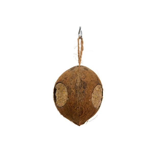 Image de Noix de cocos 3 troux pour oiseaux du ciel