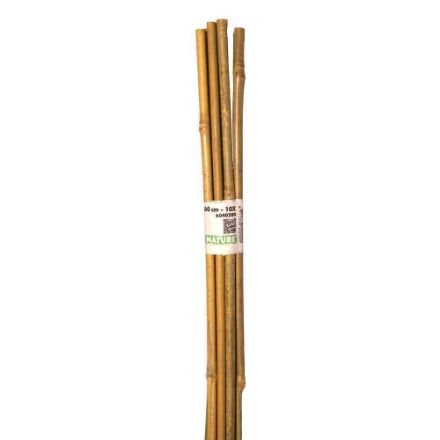 Agrandir l'image de TUTEUR BAMBOU NAT - H60 CM - 10 X Image de TUTEUR BAMBOU NAT - H60 CM - 10 X