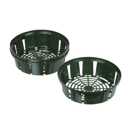 Agrandir l'image de BACS A BULB - H7,5 X DIAM26CM - 3 X Image de BACS A BULB - H7,5 X DIAM26CM - 3 X