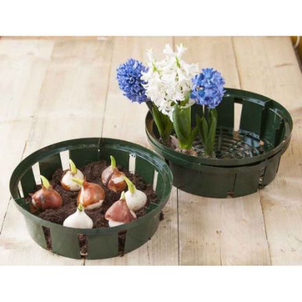 Agrandir l'image de BACS A BULB - H7,5 X DIAM26CM - 3 X Image de BACS A BULB - H7,5 X DIAM26CM - 3 X