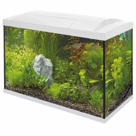 Agrandir l'image de SUPERFISH START 100 TROPICAL KIT BLANC Image de SUPERFISH START 100 TROPICAL KIT BLANC