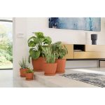 Image de soucoupe ronde 33cm naturel