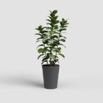 Image de POT PORTO HAUT 80CM ANTHRACITE