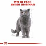 Image de FBN British Shorthair 400g