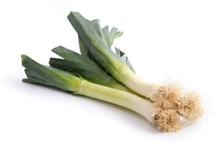 Agrandir l'image de Poireaux d'HIVER à repiquer 50pcs Image de Poireaux d'HIVER à repiquer 50pcs