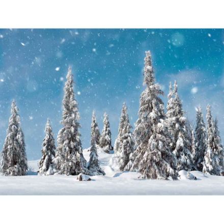 Agrandir l'image de ARRIERE PLAN ARBRES DE NEIGE Image de ARRIERE PLAN ARBRES DE NEIGE