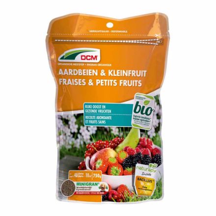 Agrandir l'image de DCM FRAISE/PETIT FR 0,65KG Image de DCM FRAISE/PETIT FR 0,65KG
