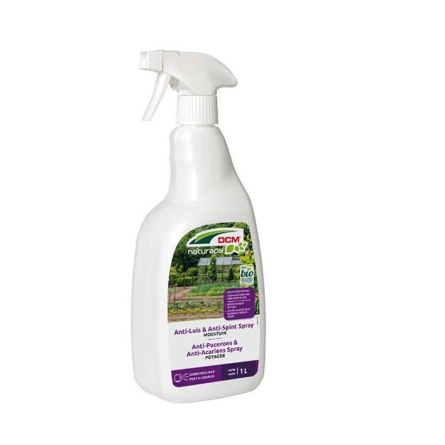 Image de DCM ANTI-PUCERONS & ACARIENS SPRAY POTAGER 1L