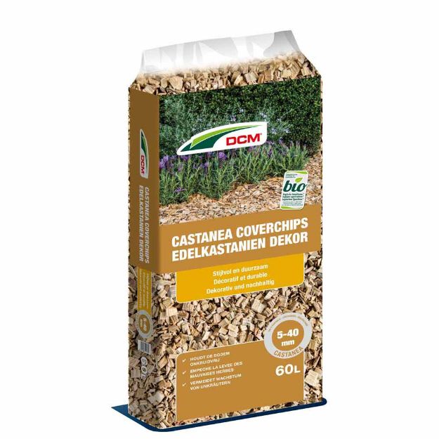 Image de DCM CASTANEA COVERCHIPS 60L